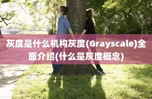 灰度是什么机构灰度(Grayscale)全面介绍(什么是灰度概念)