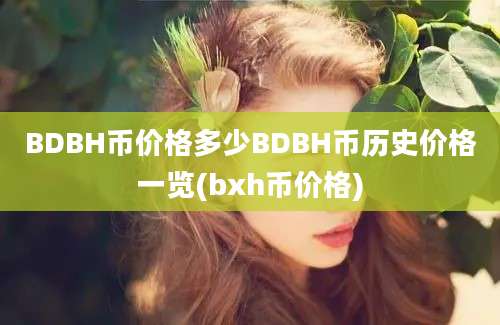 BDBH币价格多少BDBH币历史价格一览(bxh币价格)