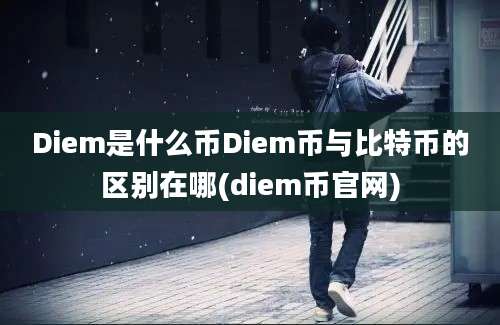 Diem是什么币Diem币与比特币的区别在哪(diem币官网)