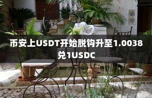 币安上USDT开始脱钩升至1.0038兑1USDC