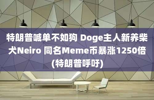 特朗普喊单不如狗 Doge主人新养柴犬Neiro 同名Meme币暴涨1250倍(特朗普呼吁)