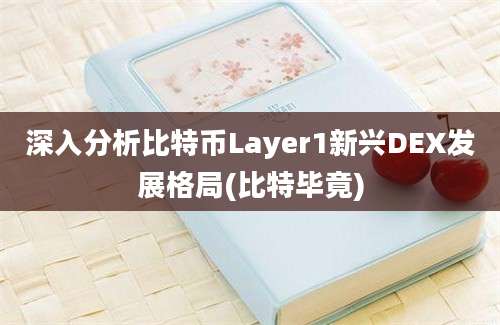 深入分析比特币Layer1新兴DEX发展格局(比特毕竟)