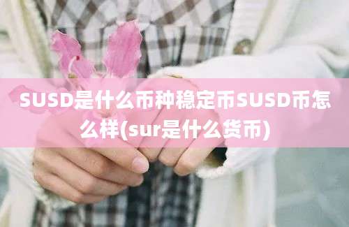 SUSD是什么币种稳定币SUSD币怎么样(sur是什么货币)