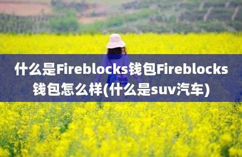 什么是Fireblocks钱包Fireblocks钱包怎么样(什么是suv汽车)