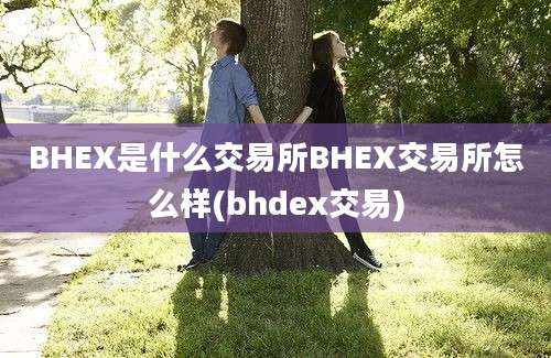 BHEX是什么交易所BHEX交易所怎么样(bhdex交易)