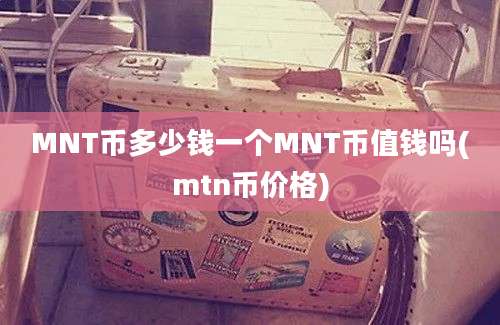 MNT币多少钱一个MNT币值钱吗(mtn币价格)