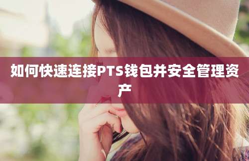 如何快速连接PTS钱包并安全管理资产