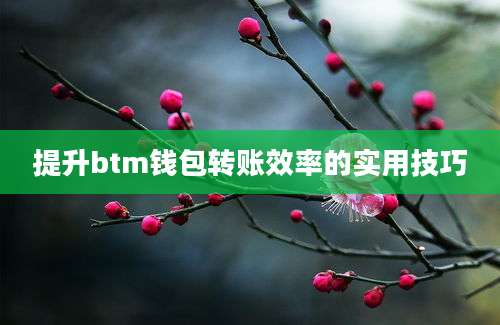 提升btm钱包转账效率的实用技巧