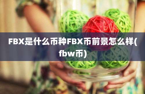 FBX是什么币种FBX币前景怎么样(fbw币)