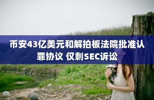 币安43亿美元和解拍板法院批准认罪协议 仅剩SEC诉讼