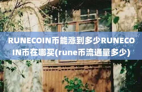 RUNECOIN币能涨到多少RUNECOIN币在哪买(rune币流通量多少)