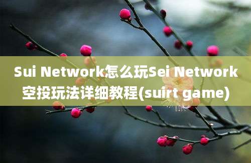 Sui Network怎么玩Sei Network空投玩法详细教程(suirt game)