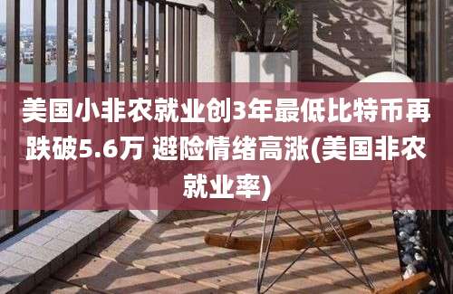 美国小非农就业创3年最低比特币再跌破5.6万 避险情绪高涨(美国非农就业率)