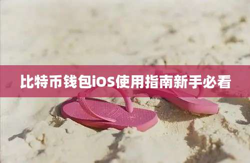 比特币钱包iOS使用指南新手必看