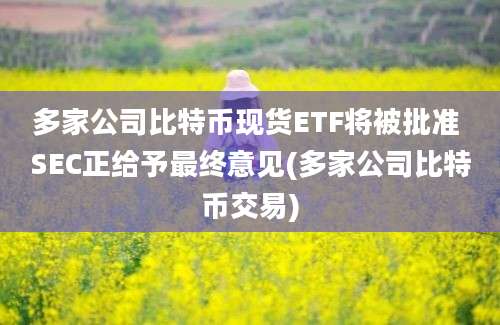 多家公司比特币现货ETF将被批准 SEC正给予最终意见(多家公司比特币交易)