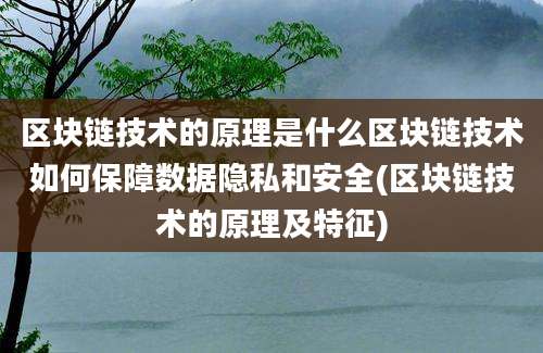 区块链技术的原理是什么区块链技术如何保障数据隐私和安全(区块链技术的原理及特征)