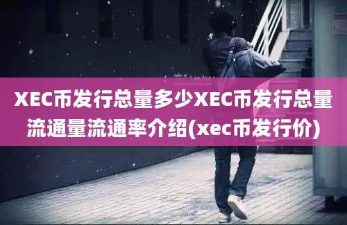 XEC币发行总量多少XEC币发行总量流通量流通率介绍(xec币发行价)