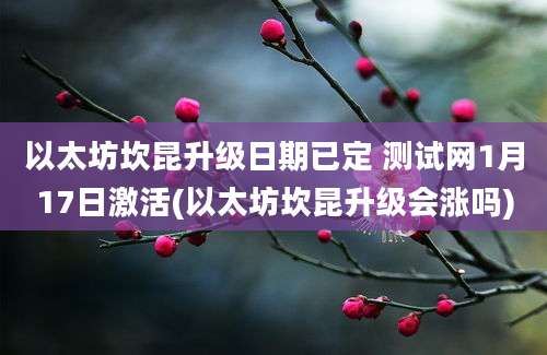 以太坊坎昆升级日期已定 测试网1月17日激活(以太坊坎昆升级会涨吗)