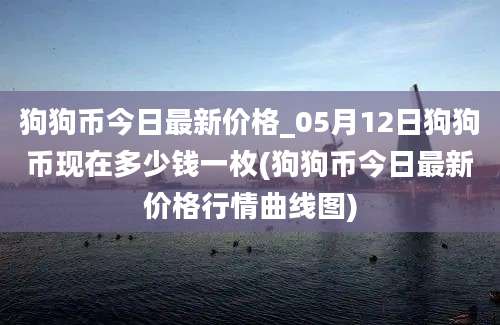 狗狗币今日最新价格_05月12日狗狗币现在多少钱一枚(狗狗币今日最新价格行情曲线图)