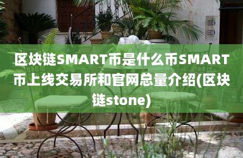 区块链SMART币是什么币SMART币上线交易所和官网总量介绍(区块链stone)