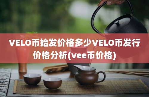 VELO币始发价格多少VELO币发行价格分析(vee币价格)