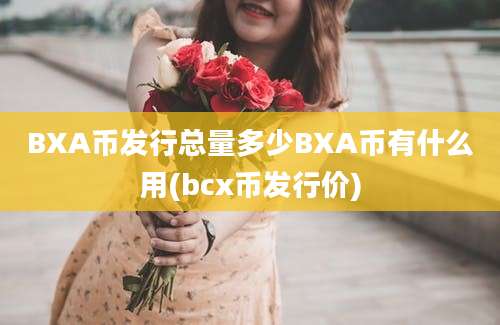 BXA币发行总量多少BXA币有什么用(bcx币发行价)