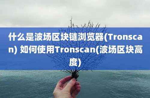 什么是波场区块链浏览器(Tronscan) 如何使用Tronscan(波场区块高度)