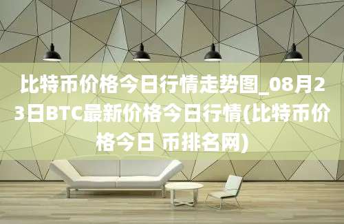 比特币价格今日行情走势图_08月23日BTC最新价格今日行情(比特币价格今日 币排名网)