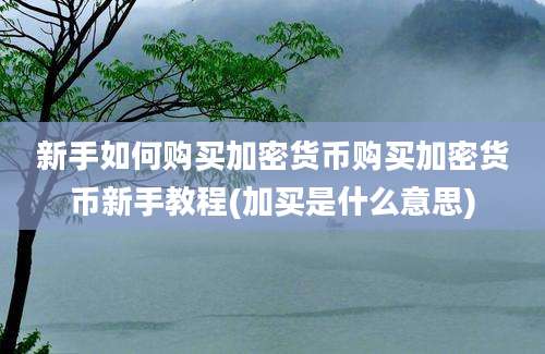 新手如何购买加密货币购买加密货币新手教程(加买是什么意思)