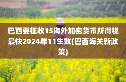 巴西要征收15海外加密货币所得税最快2024年11生效(巴西海关新政策)