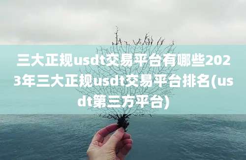 三大正规usdt交易平台有哪些2023年三大正规usdt交易平台排名(usdt第三方平台)