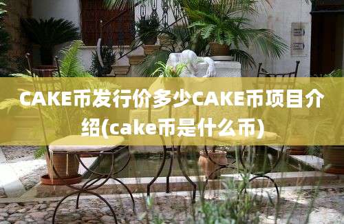 CAKE币发行价多少CAKE币项目介绍(cake币是什么币)