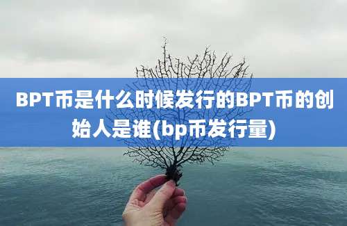 BPT币是什么时候发行的BPT币的创始人是谁(bp币发行量)