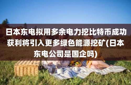 日本东电拟用多余电力挖比特币成功获利将引入更多绿色能源挖矿(日本东电公司是国企吗)