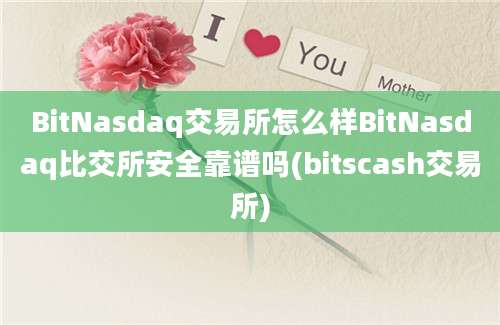 BitNasdaq交易所怎么样BitNasdaq比交所安全靠谱吗(bitscash交易所)