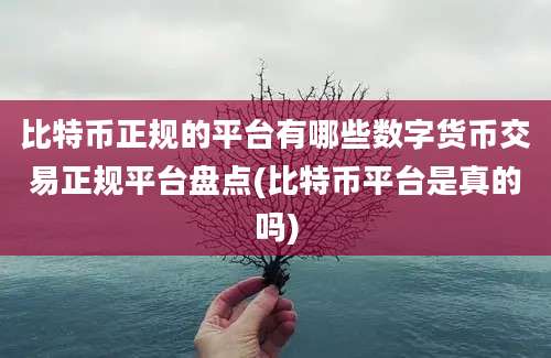 比特币正规的平台有哪些数字货币交易正规平台盘点(比特币平台是真的吗)