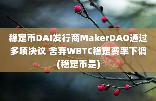 稳定币DAI发行商MakerDAO通过多项决议 舍弃WBTC稳定费率下调(稳定币是)