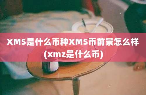 XMS是什么币种XMS币前景怎么样(xmz是什么币)