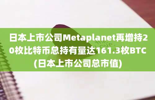 日本上市公司Metaplanet再增持20枚比特币总持有量达161.3枚BTC(日本上市公司总市值)