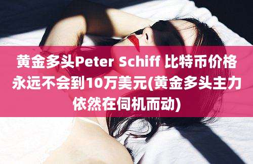 黄金多头Peter Schiff 比特币价格永远不会到10万美元(黄金多头主力依然在伺机而动)