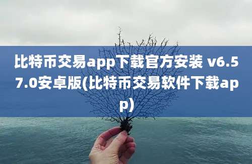 比特币交易app下载官方安装 v6.57.0安卓版(比特币交易软件下载app)