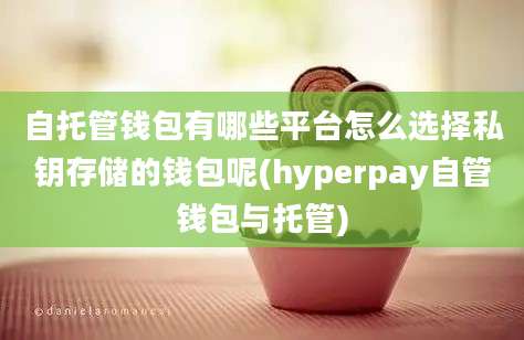 自托管钱包有哪些平台怎么选择私钥存储的钱包呢(hyperpay自管钱包与托管)