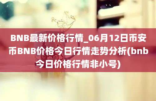 BNB最新价格行情_06月12日币安币BNB价格今日行情走势分析(bnb今日价格行情非小号)