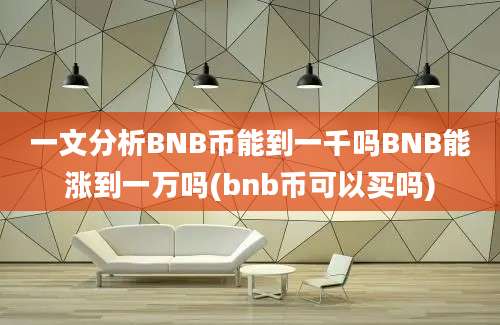 一文分析BNB币能到一千吗BNB能涨到一万吗(bnb币可以买吗)