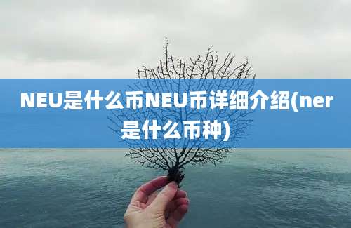 NEU是什么币NEU币详细介绍(ner是什么币种)