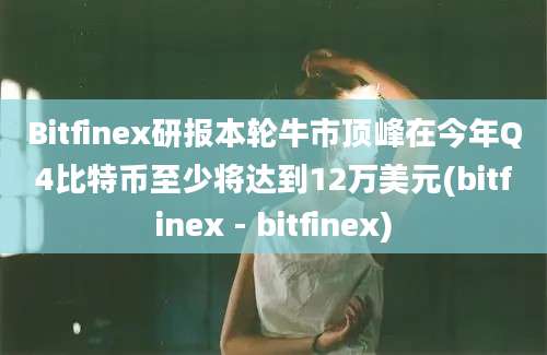 Bitfinex研报本轮牛市顶峰在今年Q4比特币至少将达到12万美元(bitfinex - bitfinex)