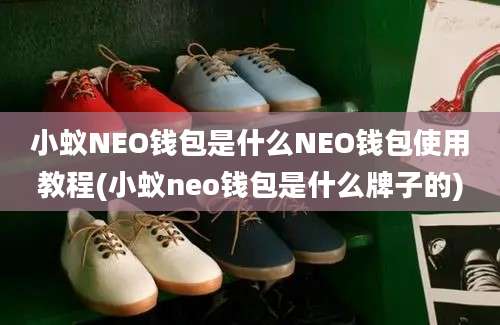 小蚁NEO钱包是什么NEO钱包使用教程(小蚁neo钱包是什么牌子的)