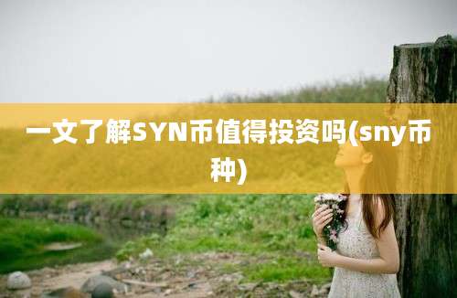 一文了解SYN币值得投资吗(sny币种)