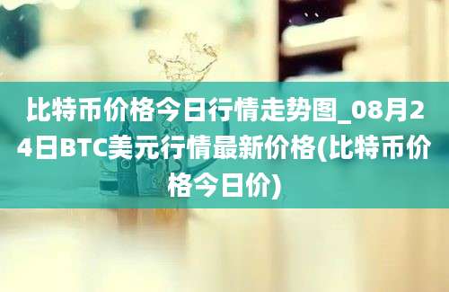 比特币价格今日行情走势图_08月24日BTC美元行情最新价格(比特币价格今日价)