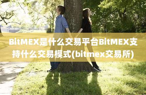 BitMEX是什么交易平台BitMEX支持什么交易模式(bitmex交易所)